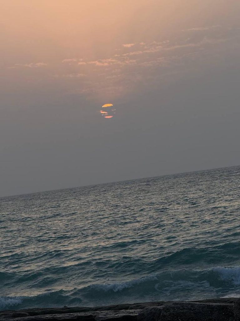 تورهای خانه ماوا