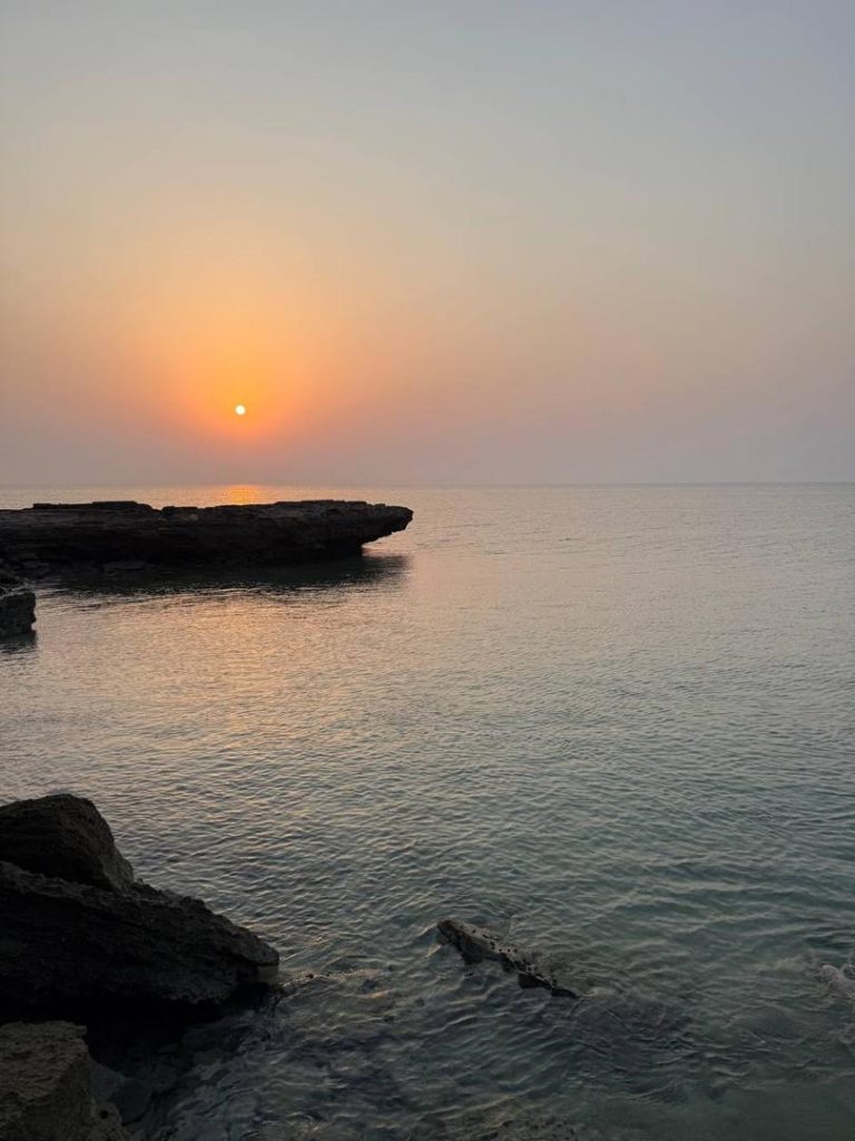 تور خانه8 ماوا